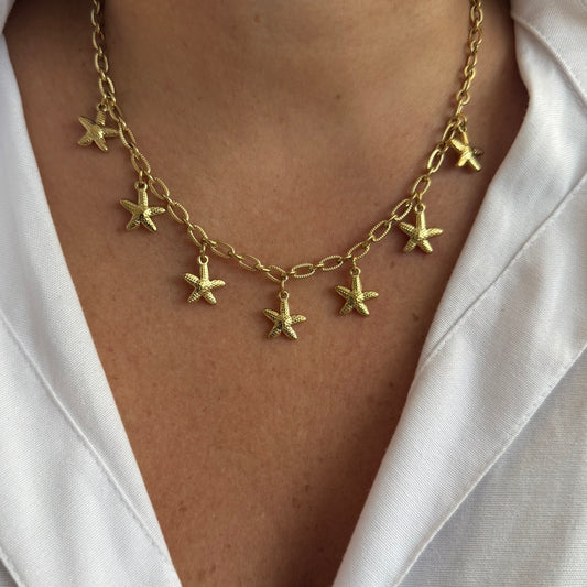 Starfish - Multi Pampilles