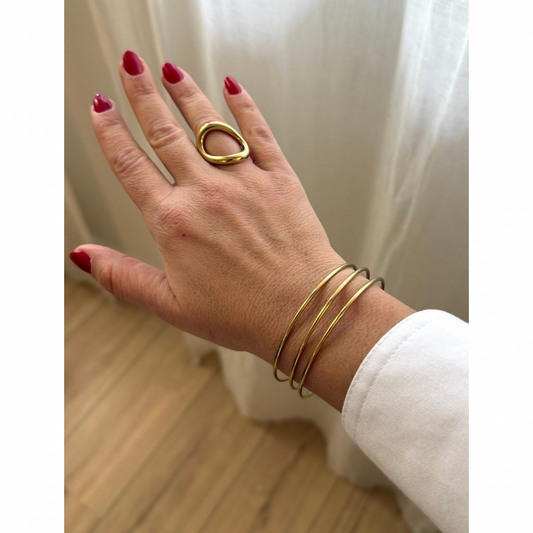 Le duo Guana doré - 𝑆𝑒́𝑙𝑒𝑐𝑡𝑖𝑜𝑛 𝑠𝑝𝑒́𝑐𝑖𝑎𝑙𝑒 𝑁𝑜𝑒̈𝑙