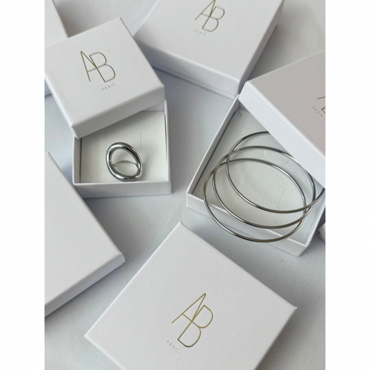 Le duo Guana argent - 𝑆𝑒́𝑙𝑒𝑐𝑡𝑖𝑜𝑛 𝑠𝑝𝑒́𝑐𝑖𝑎𝑙𝑒 𝑁𝑜𝑒̈𝑙