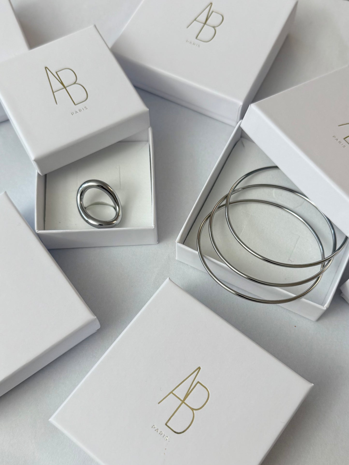 Le duo Guana argent - 𝑆𝑒́𝑙𝑒𝑐𝑡𝑖𝑜𝑛 𝑠𝑝𝑒́𝑐𝑖𝑎𝑙𝑒 𝑁𝑜𝑒̈𝑙