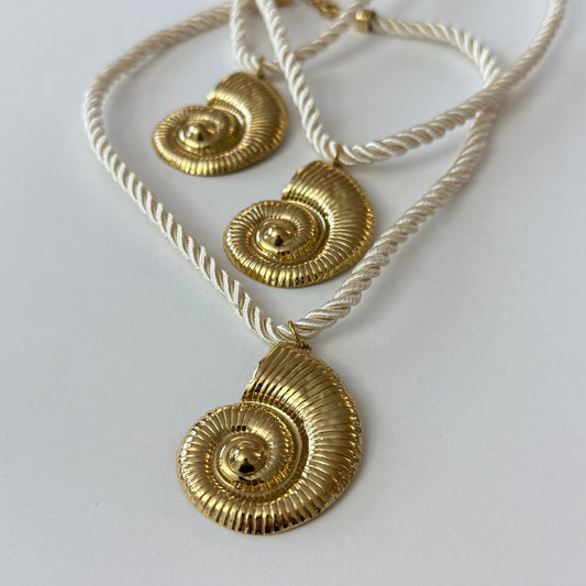 Shell - cordon